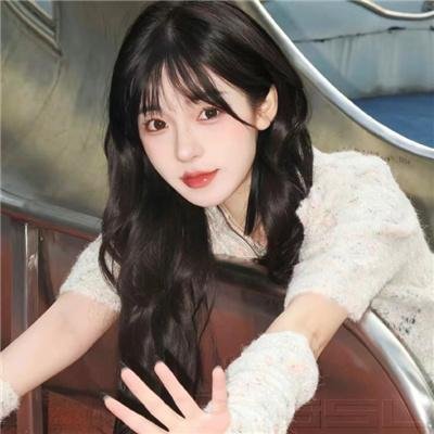 高卢英雄救公主